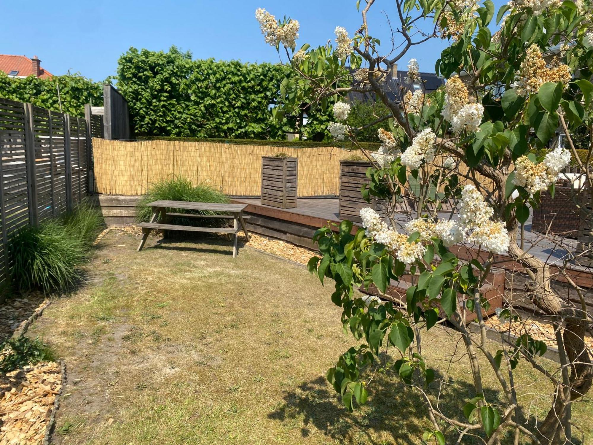 Studio Bella De Panne Zewnętrze zdjęcie